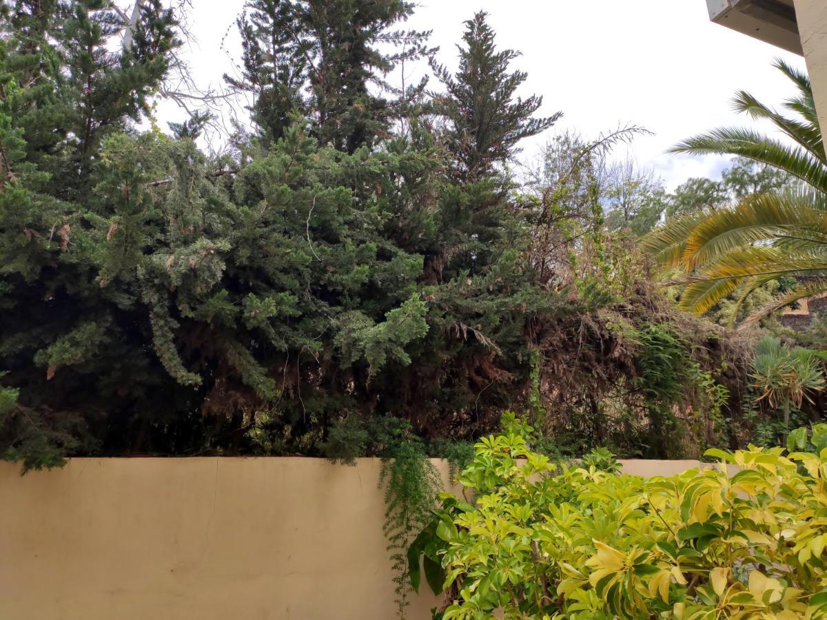 Dos Habitaciones & Prkn & Piscina Climatizada & Jardin - Casa Winslo 拉克鲁斯 外观 照片